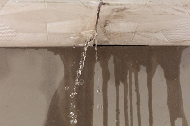 Professional Structural Drying technician working in Weston, MO